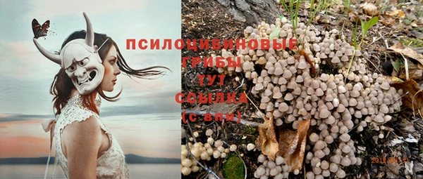 гидропоника Абинск
